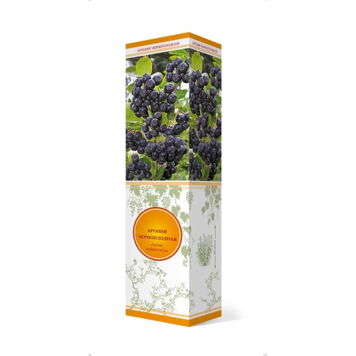 Арония черноплодная Коралл 1 шт., туба Весна 2026